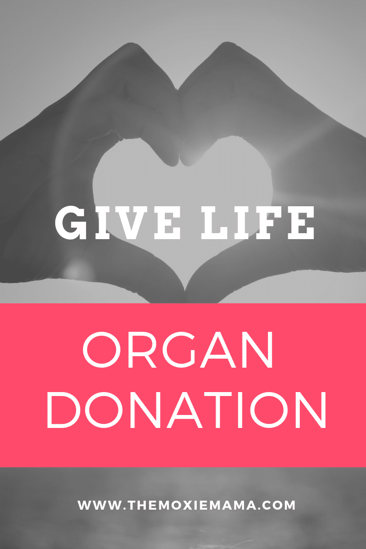 Organ Donor An Open Letter