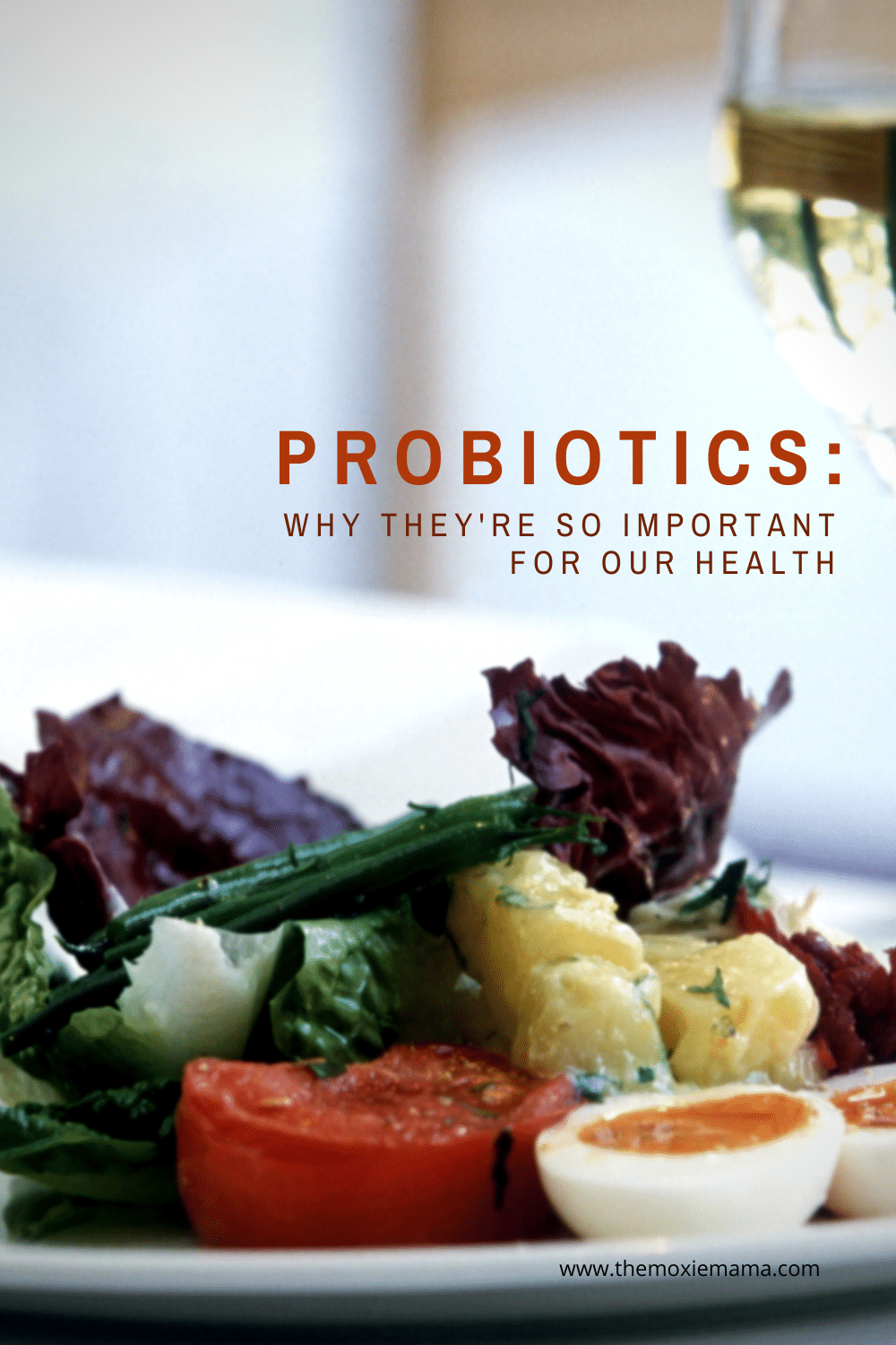 Probiotics Why They're So Important for Our Health