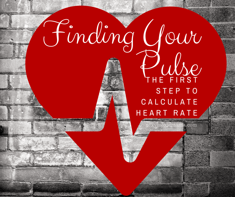 finding-your-pulse-the-first-step-to-calculate-heart-rate-the-moxie-mama