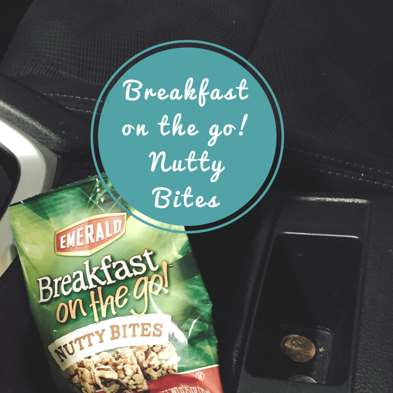 breakfast on the go nutty bites