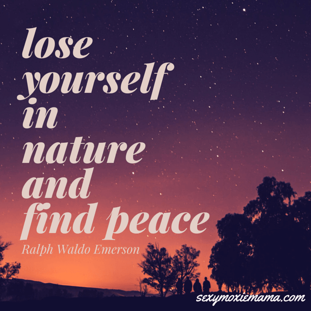lose yourself in nature and find peace