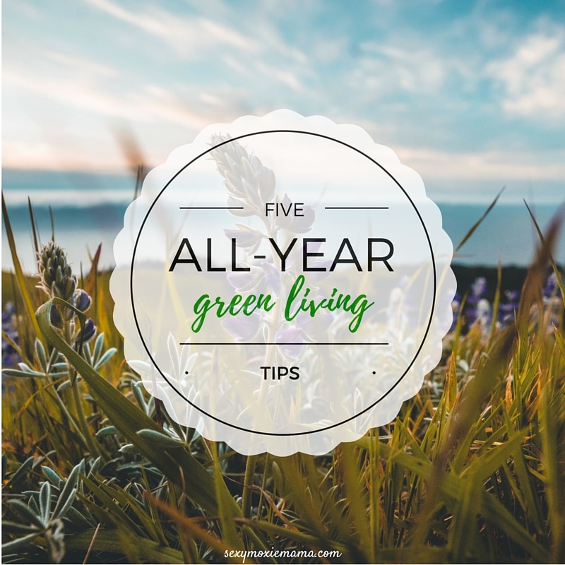 Caring for and celebrating the Earth should happen EVERY day, not just once a year. Here are my five all-year simple green living tips.