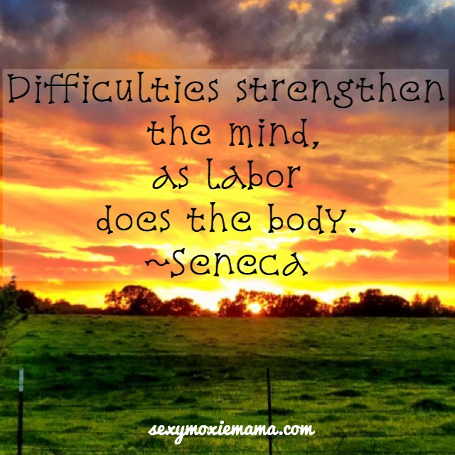 Difficulties strengthen the mind, as labor does the body. -Lucius Annaeus Seneca