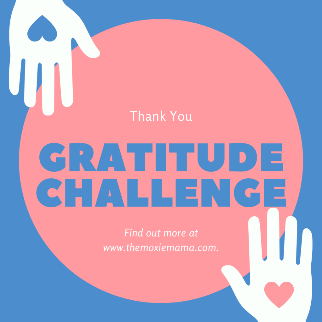 The gratitude challenge is a 30-day journey of self-reflection of the people, places, and experiences you are grateful for. What are you grateful for today?