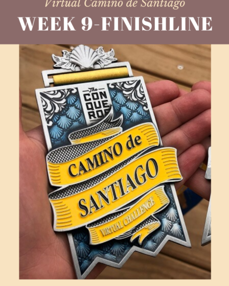 Camino de Santiago Week 9 to 12
