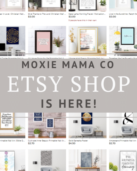 Moxie Mama Co Etsy Shop is HERE