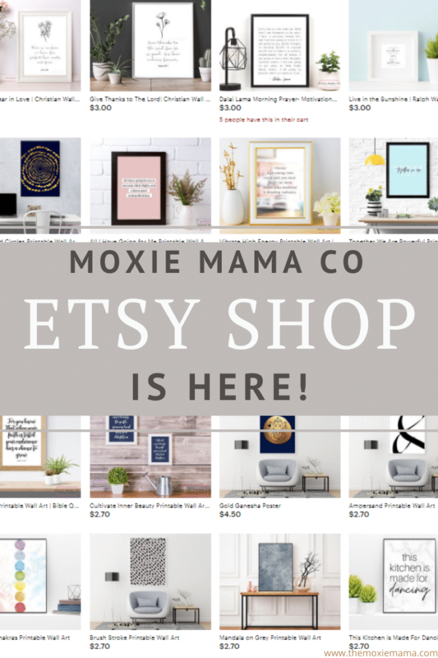 Moxie Mama Co Etsy Shop is HERE