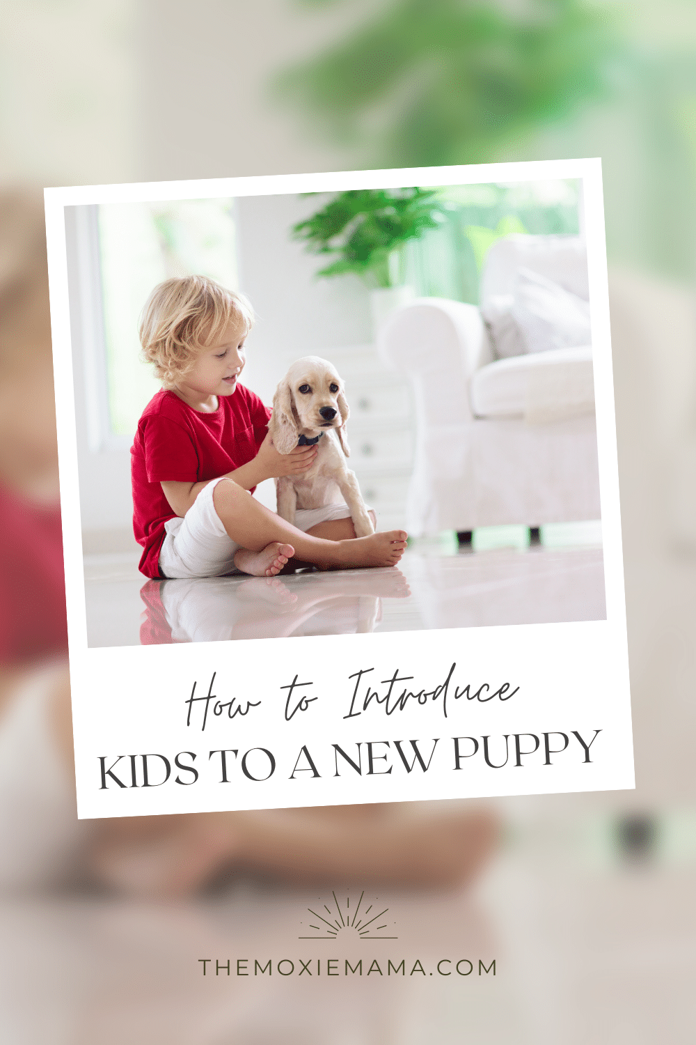Bringing a new puppy into the family is an exciting time, especially for children. However, introducing a new pet to young children can be a delicate process, as it requires patience, understanding, and education. Here are some tips for introducing kids to a new pet puppy. Read More at www.themoxiemama.com